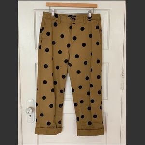 J Crew Polka dot Chinos